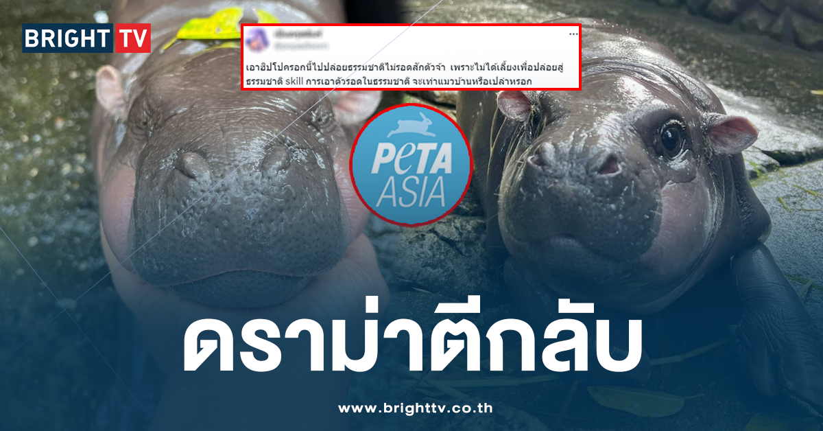 ชาวเน็ตเสียงแตก! ถก PETA ปล่อย หมูเด้ง กลับธรรมชาติ จะรอดเหรอ?