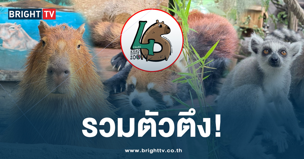 พาทัวร์! สวนสัตว์เปิดเขาเขียว สัตว์น่ารักเพียบ ไม่ได้มีแค่ หมูเด้ง