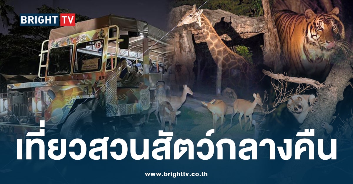 ไปกัน! สวนสัตว์เปิดเขาเขียว พาทัวร์ส่องสัตว์ยามค่ำคืน