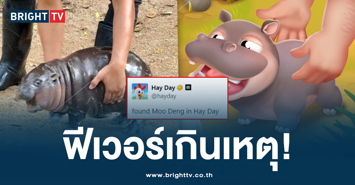 เกินการควบคุม! ‘หมูเด้ง’ ไปไกลเวอร์ เกมสุดฮิต ‘Hay Day’ ยังพูดถึง