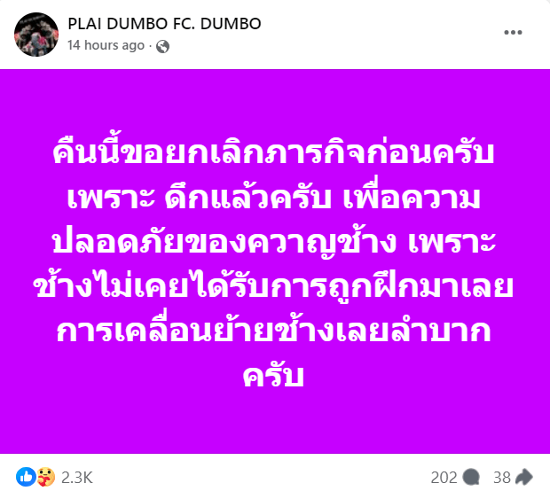 ปางช้างแม่แต่ (2)-min