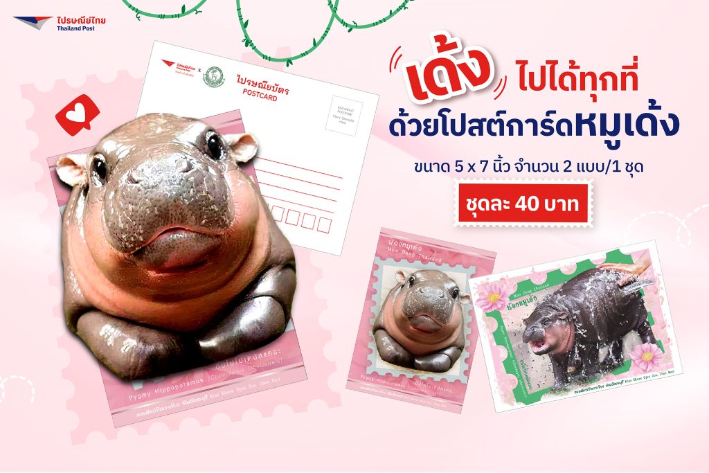 สแตมป์หมูเด้ง1