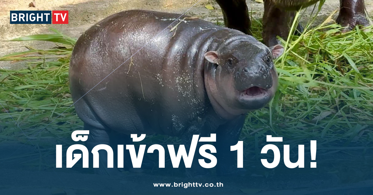 เด็กเข้าฟรี 1 วัน