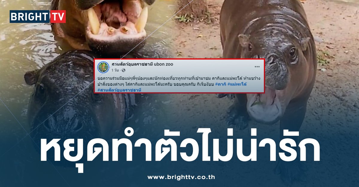 อย่าหาทำ! นทท. ปาของใส่ “คากิ” หลาน “หมูเด้ง” ที่สวนสัตว์อุบลราชธานี