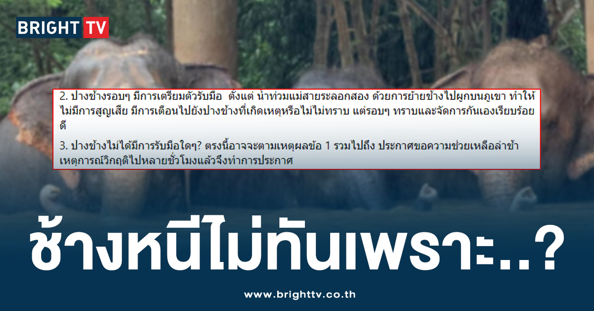 บทเรียนครั้งใหญ่ของปางช้าง โซเชียลตั้งคำถามทำไม ปางอื่นหนีทัน..?