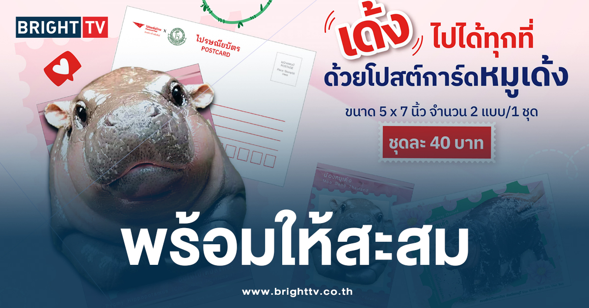 เปิดตัวลายใหม่! ไปรษณีย์ไทย เปิดจอง โปสการ์ด-แสตมป์ ลาย “หมูเด้ง”