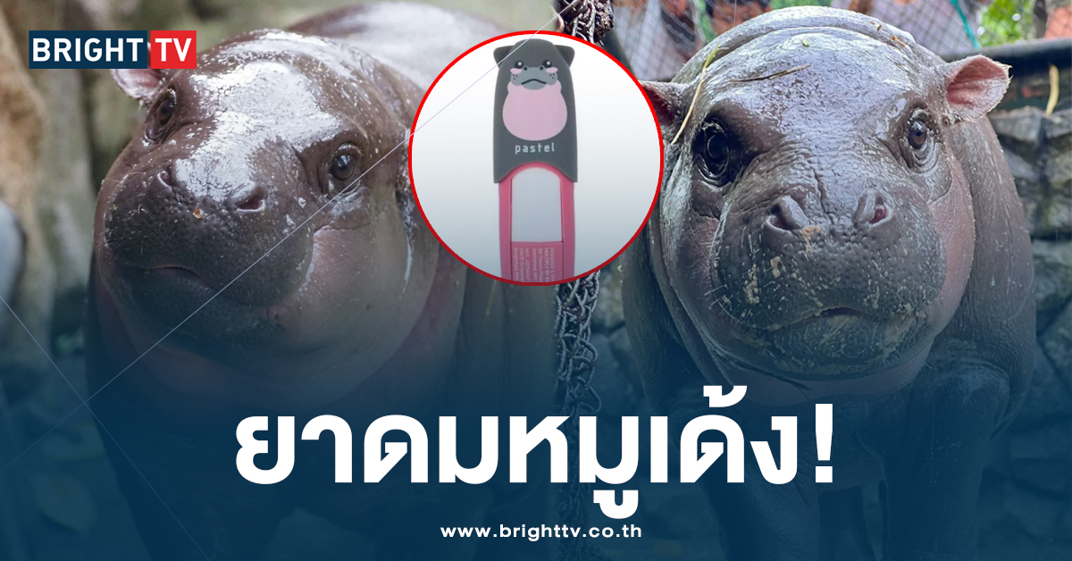 เกินต้าน! บ. ยาดม เปิดตัวปลอกยาดมลายใหม่ คว้าเซเลบริตี้ดัง “หมูเด้ง”