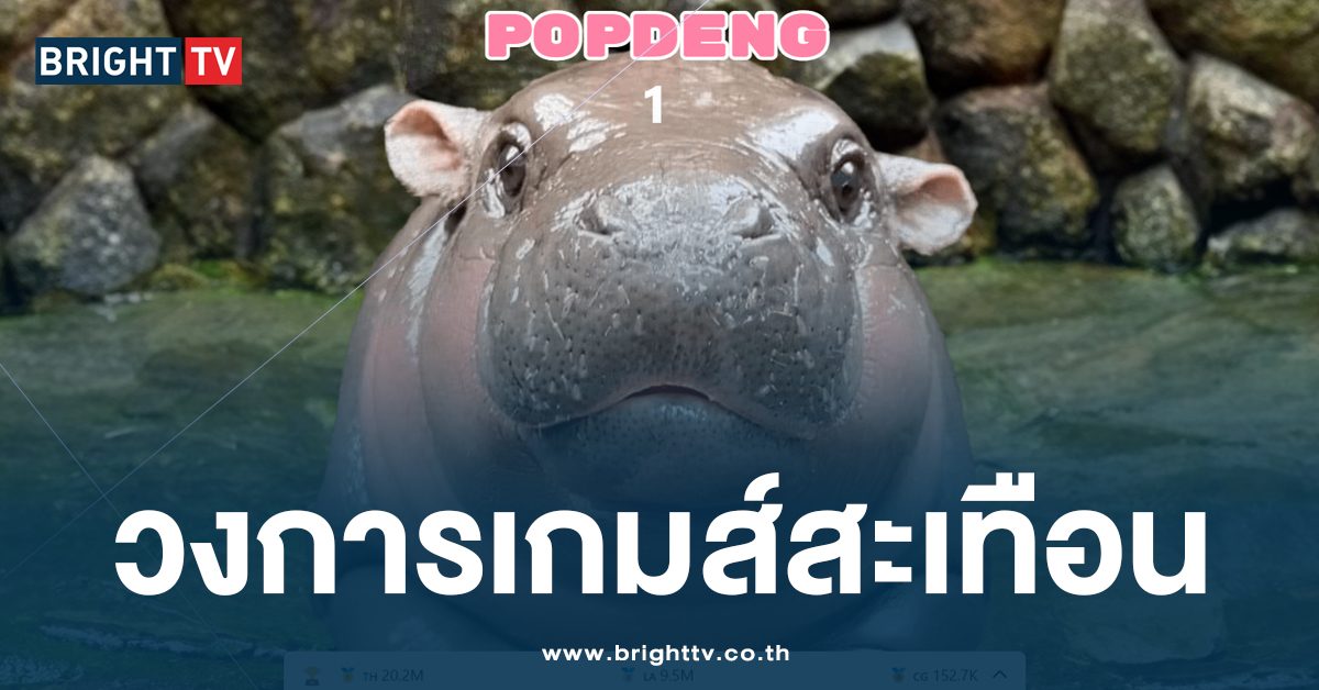 เกินต้าน! หมูเด้ง โผล่เกมส์ POPDENG ทำแฟนคลับเลิกไม่ได้ กดกันทั้งวัน