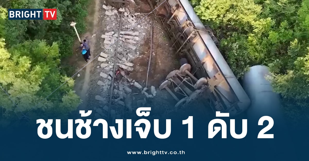 สุดสลด! รถไฟขนน้ำมัน คร่าชีวิตช้างป่า 2 ตัว หลังเกิดอุบัติ ชนช้างทั้งโขลง